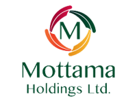 Mottama Holdings_Logo.png update