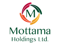 Mottama Holdings_Logo.png update